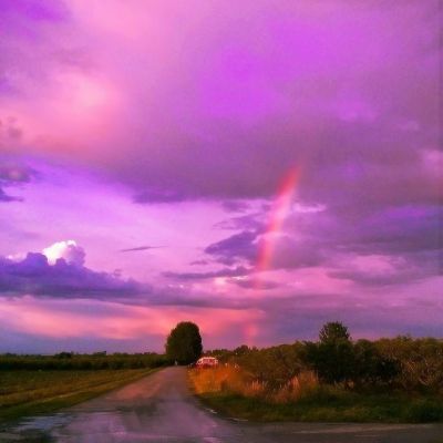 英雄传说星之轨迹bilibili版下载
